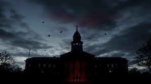 Medvirkende i Vidnebeskytteren