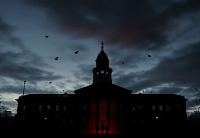 Medvirkende i Vidnebeskytteren